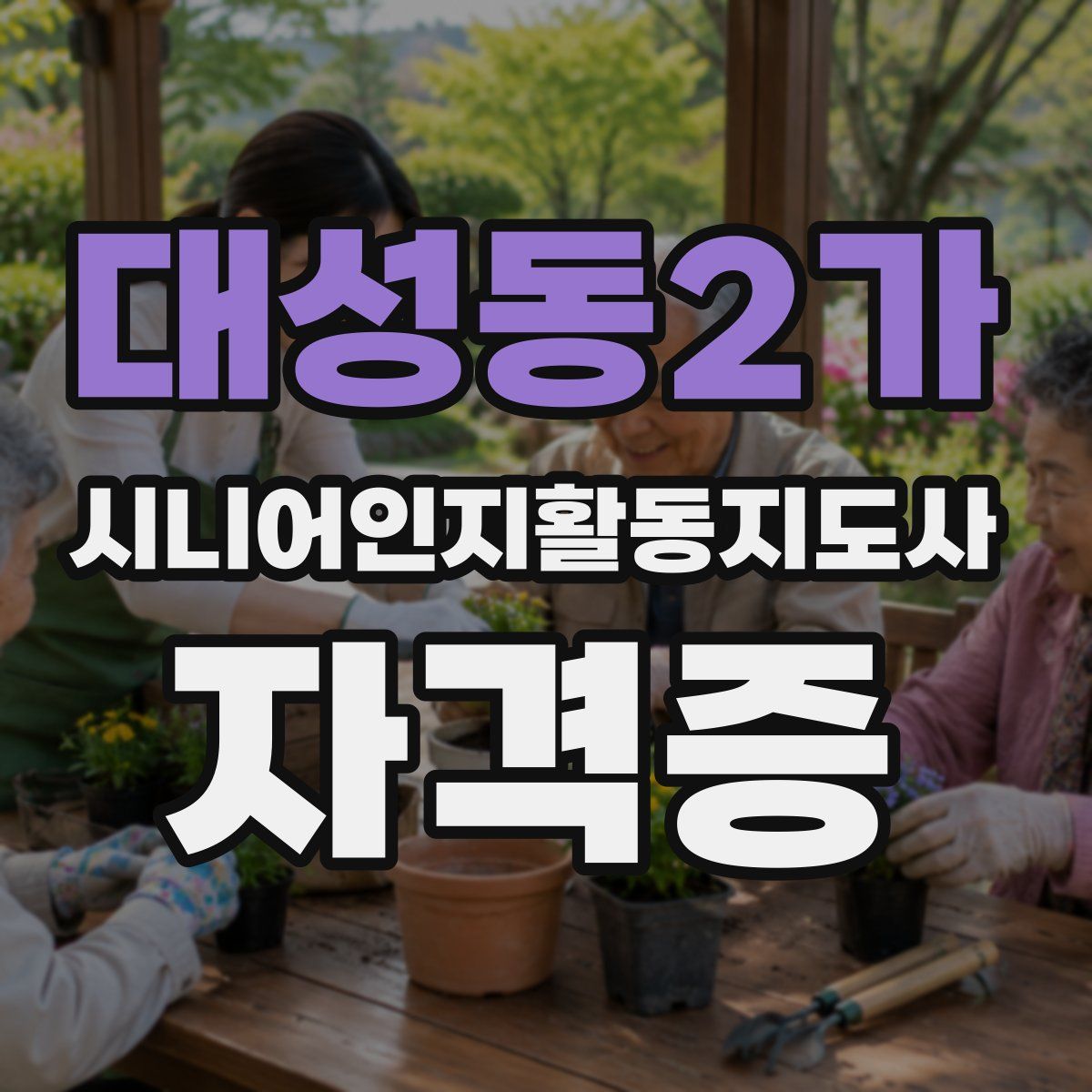 대성동2가 시니어인지활동지도사 자격증