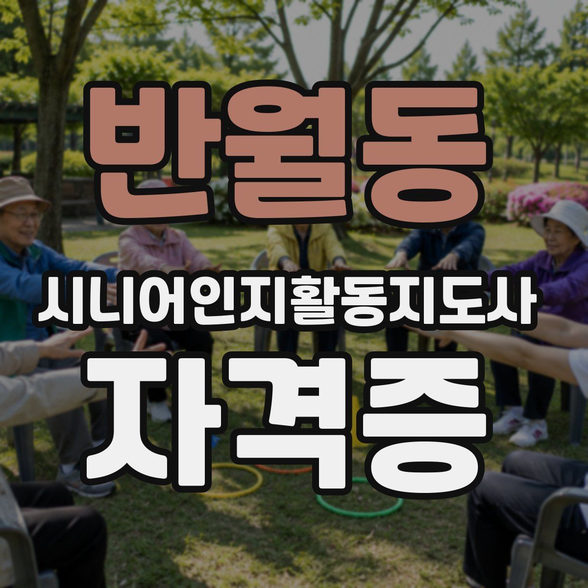 반월동 시니어인지활동지도사 자격증