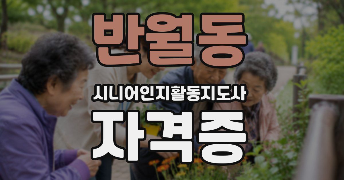 반월동 시니어인지활동지도사 자격증