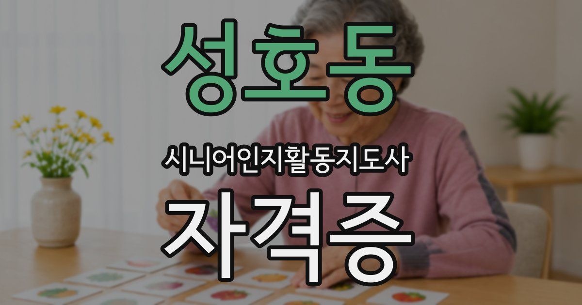성호동 시니어인지활동지도사 자격증