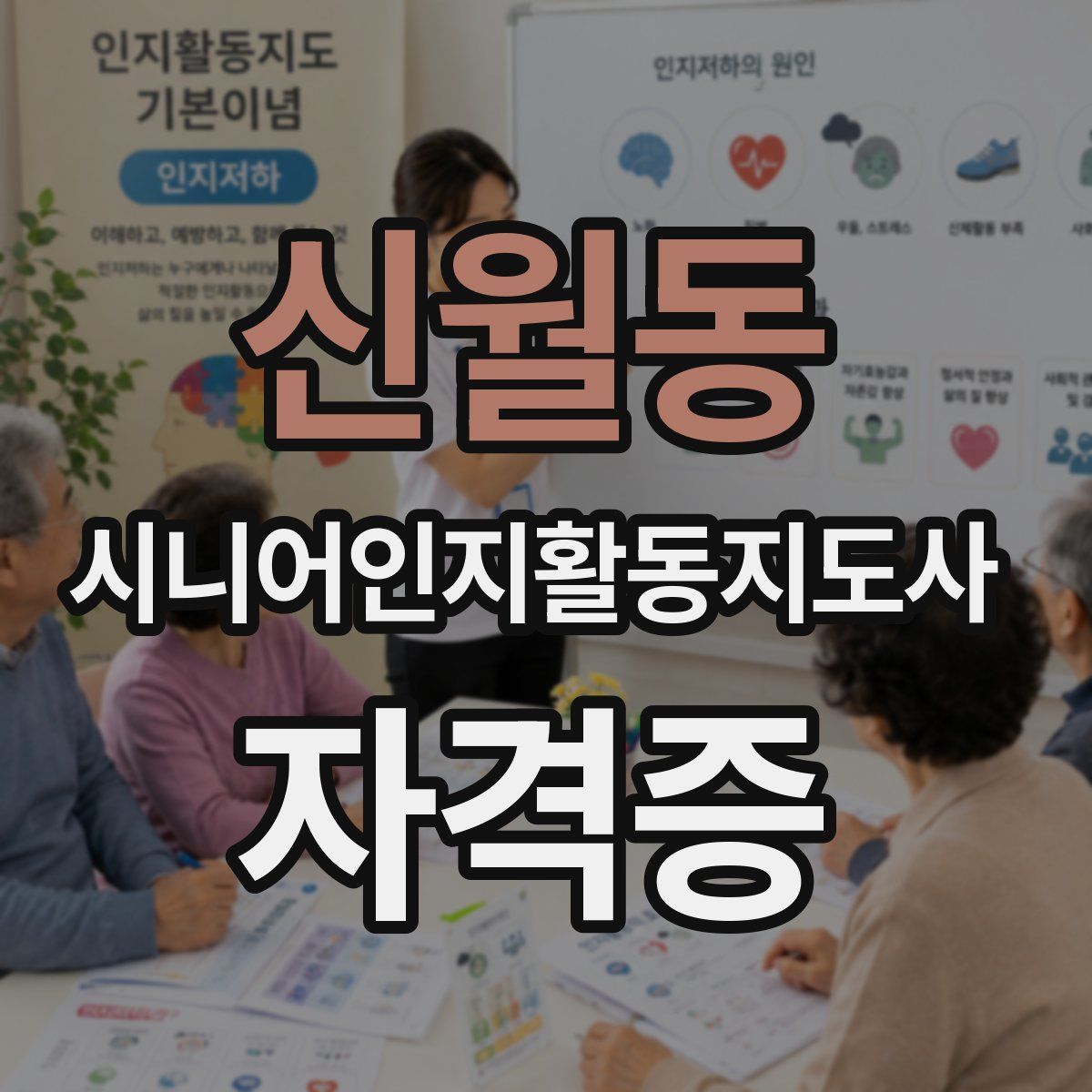 신월동 시니어인지활동지도사 자격증