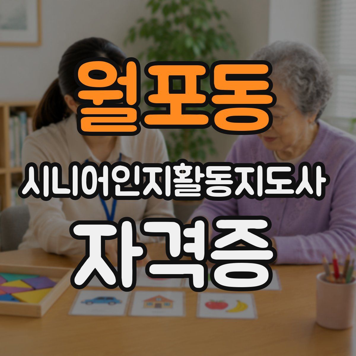 월포동 시니어인지활동지도사 자격증