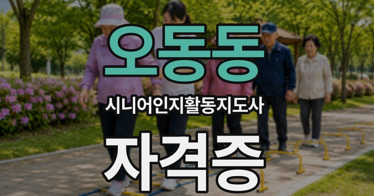오동동 시니어인지활동지도사 자격증