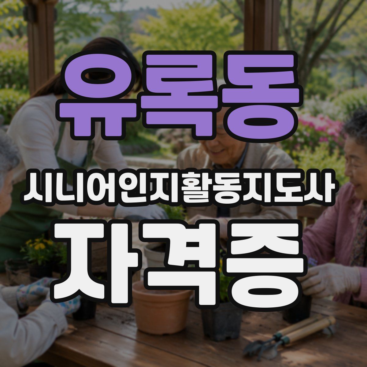 유록동 시니어인지활동지도사 자격증