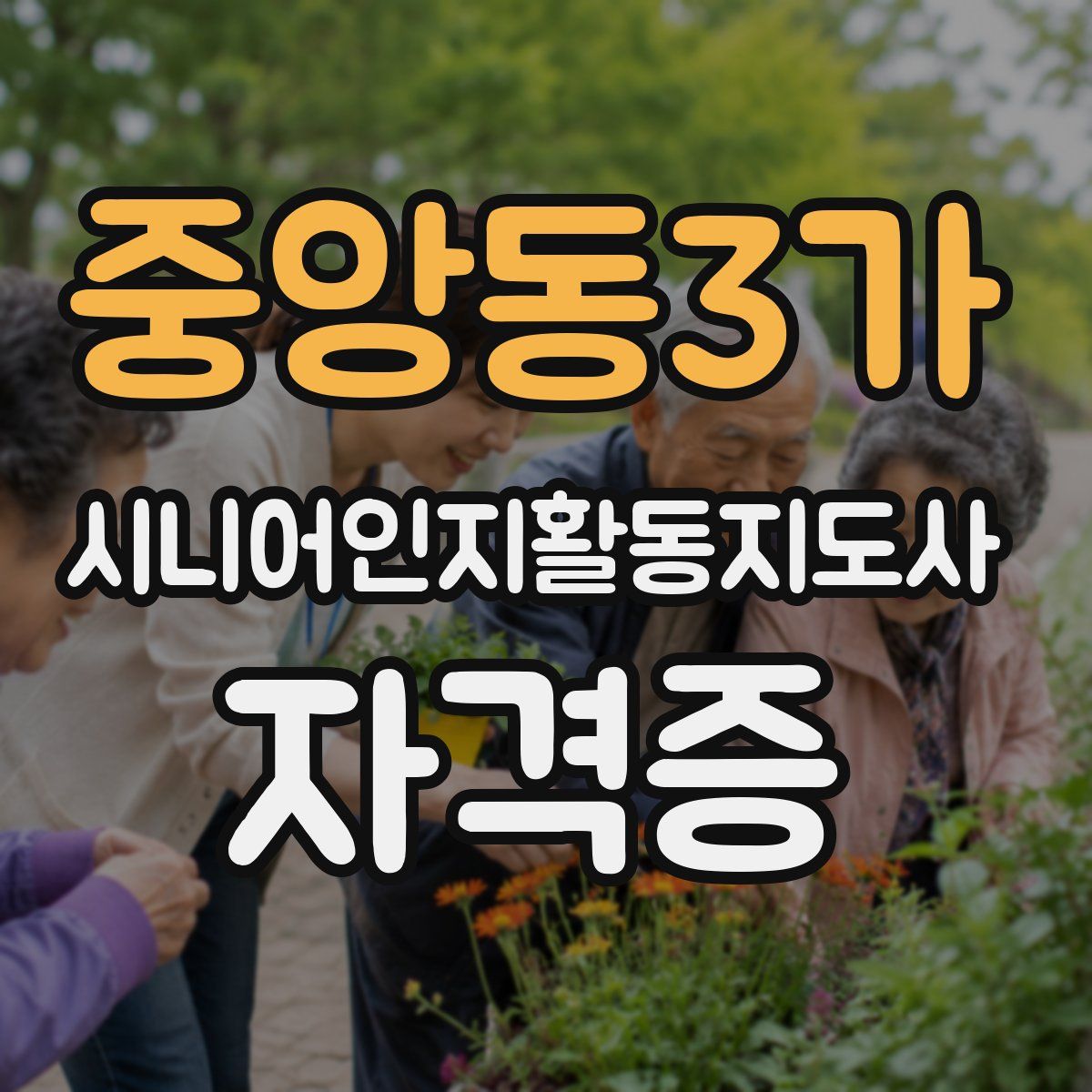 중앙동3가 시니어인지활동지도사 자격증
