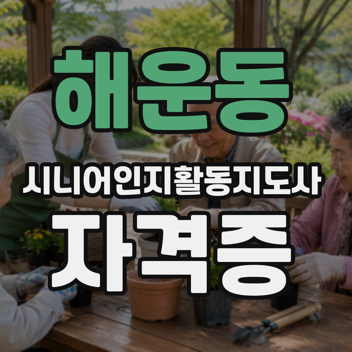 해운동 시니어인지활동지도사 자격증