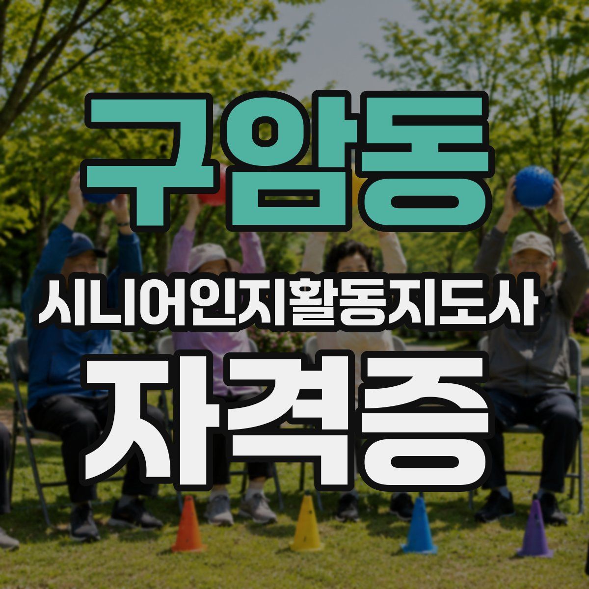 구암동 시니어인지활동지도사 자격증