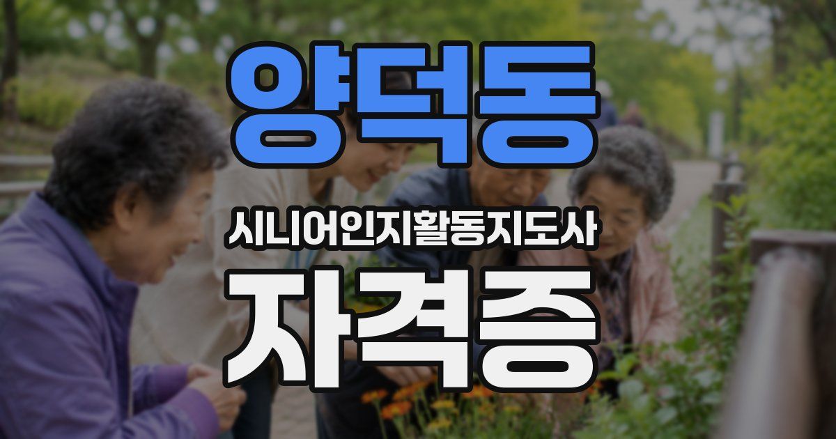 양덕동 시니어인지활동지도사 자격증