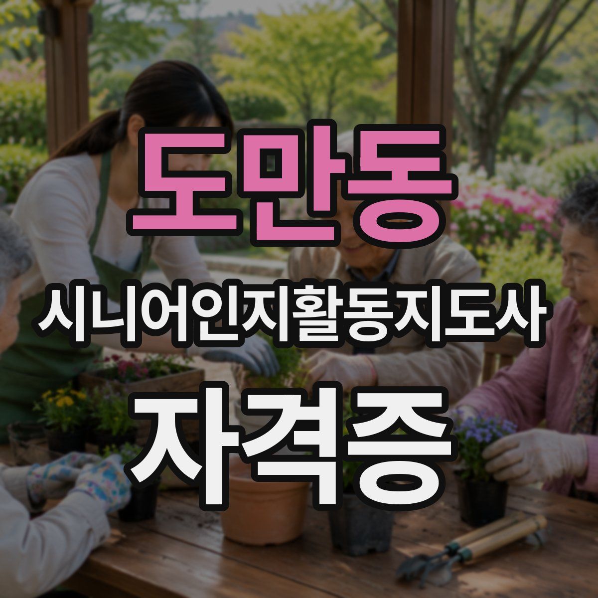 도만동 시니어인지활동지도사 자격증