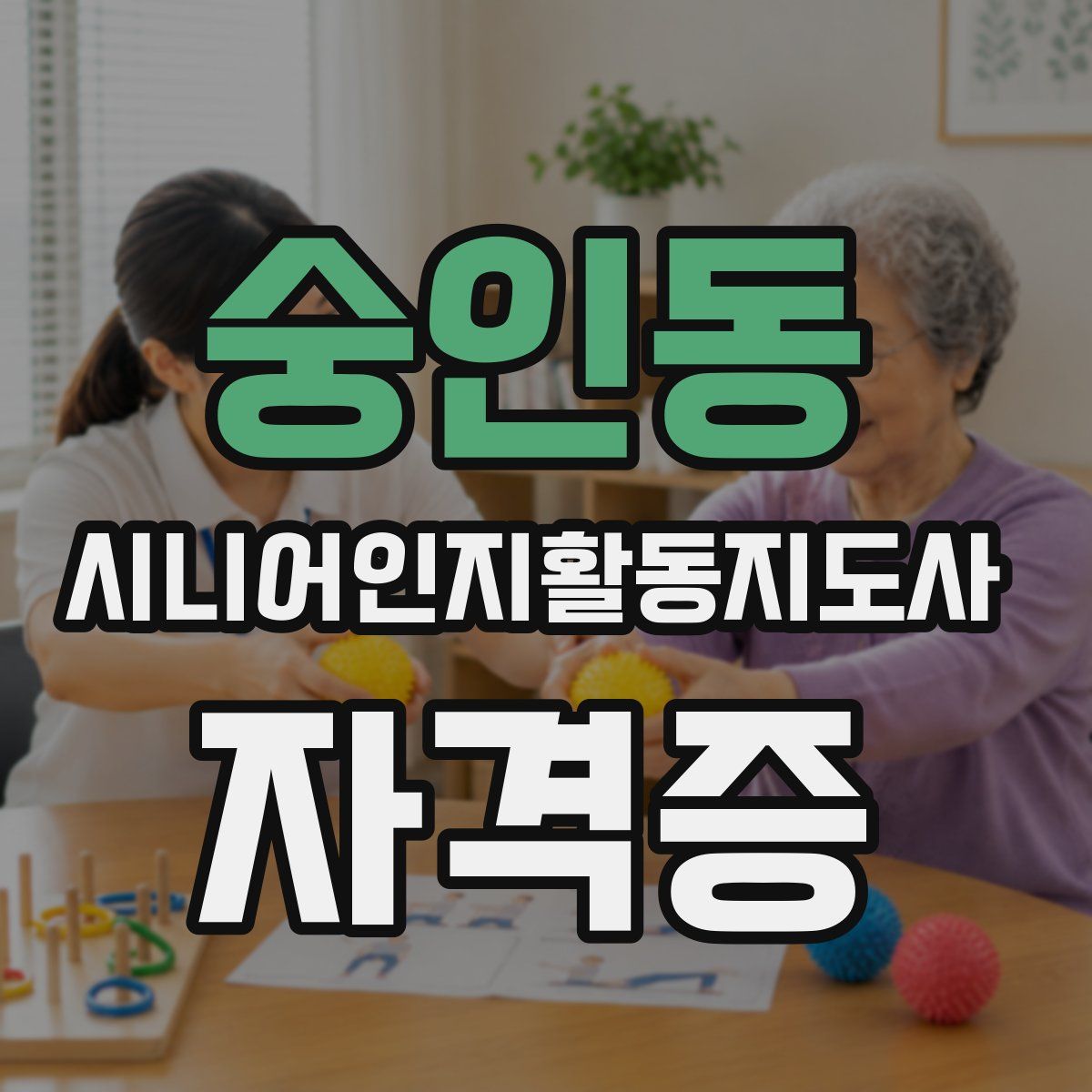 숭인동 시니어인지활동지도사 자격증