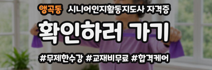 앵곡동 시니어인지활동지도사 자격증