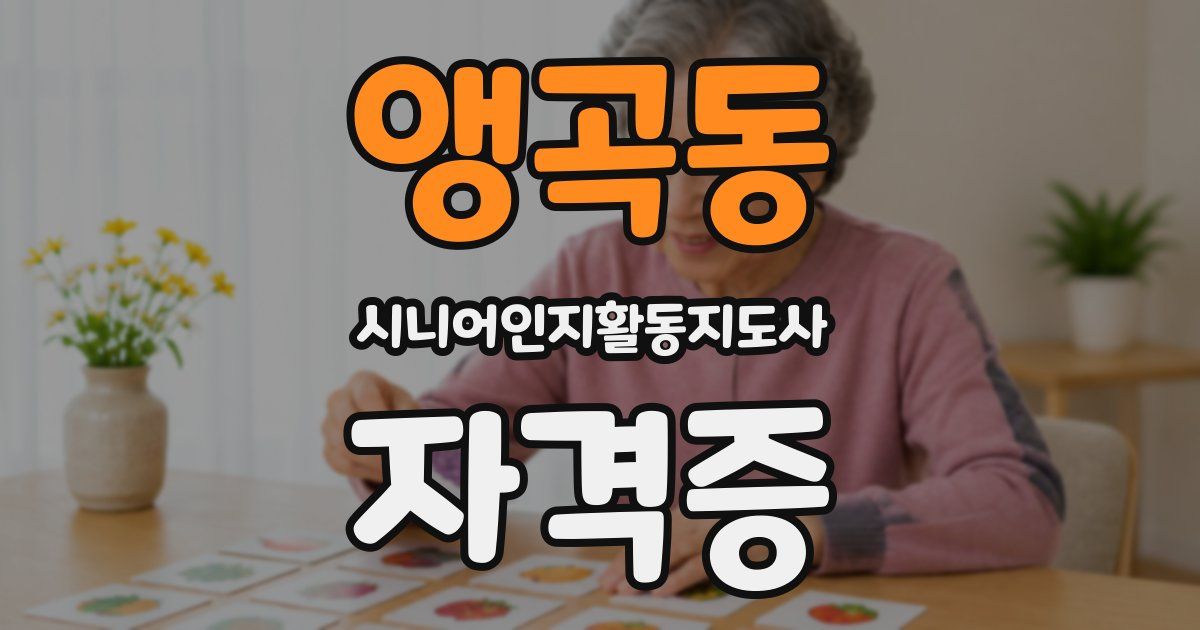 앵곡동 시니어인지활동지도사 자격증