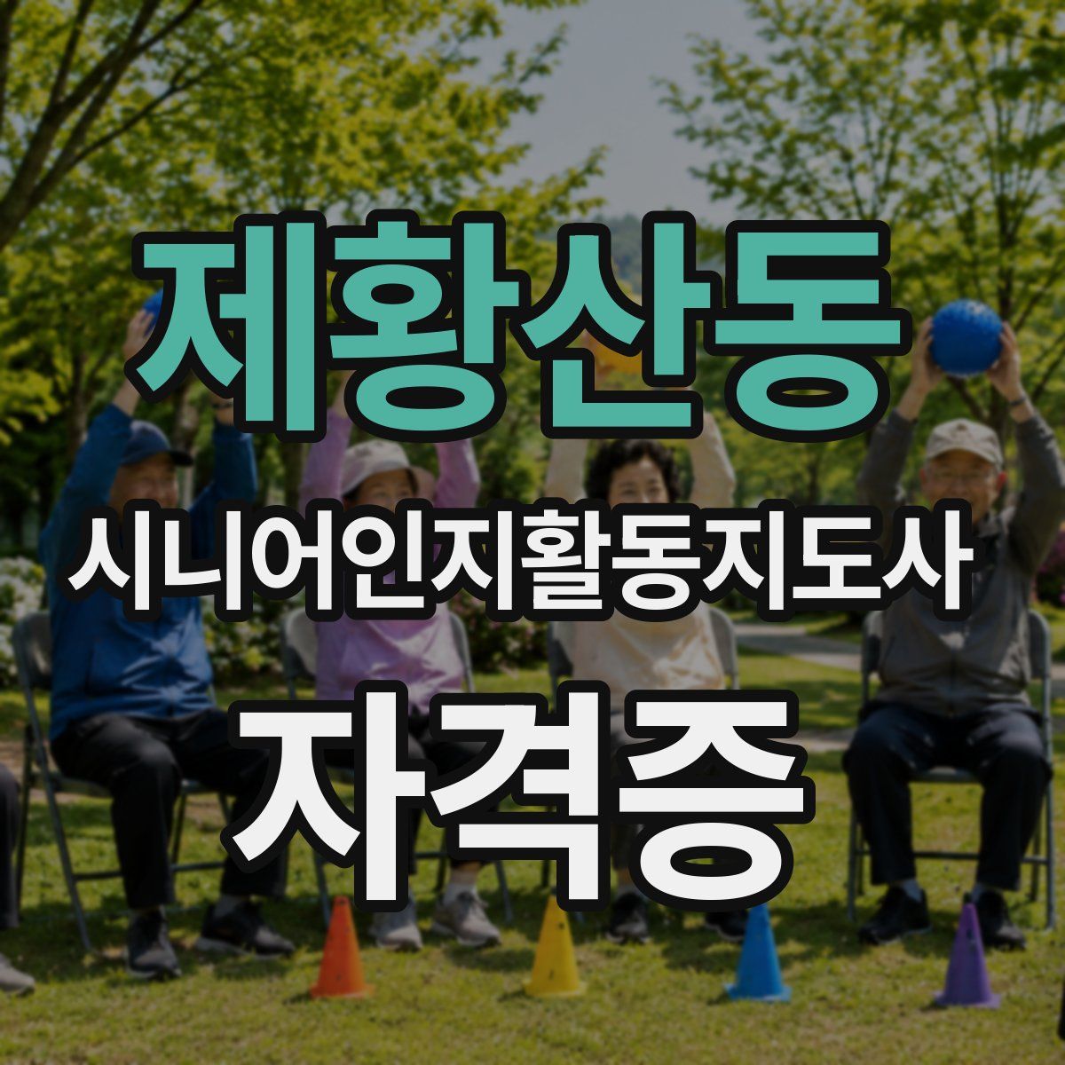 제황산동 시니어인지활동지도사 자격증