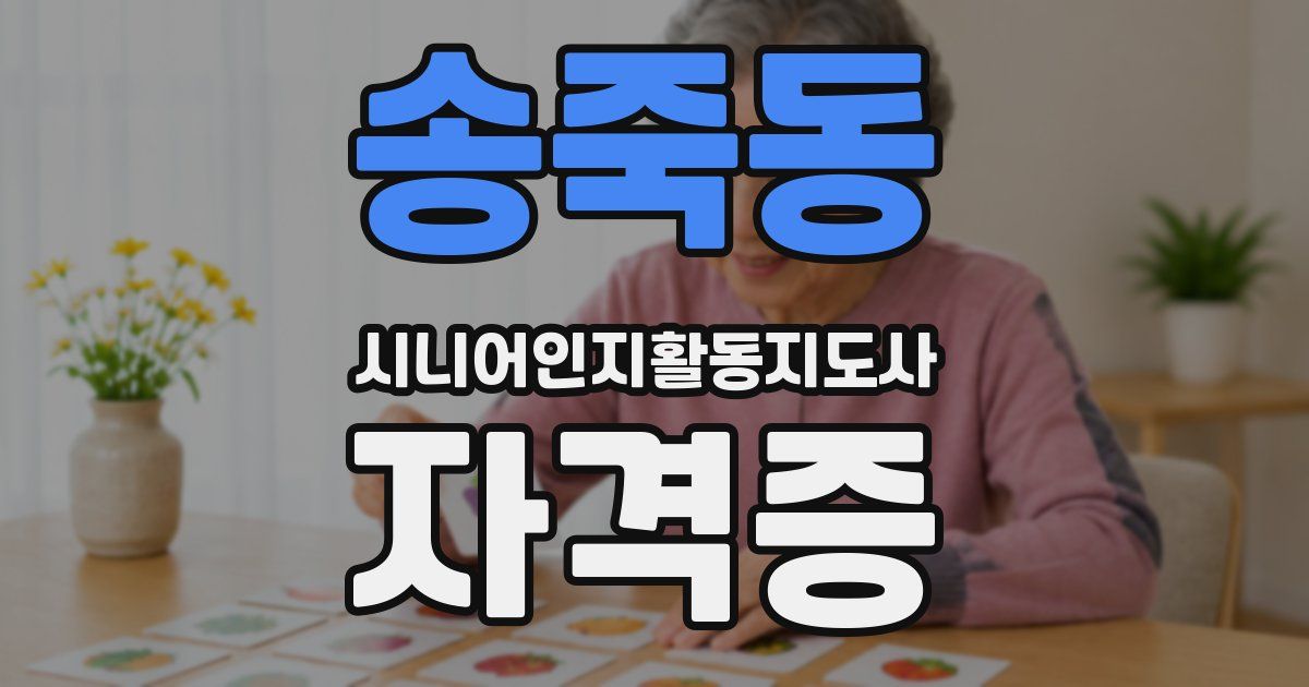 송죽동 시니어인지활동지도사 자격증