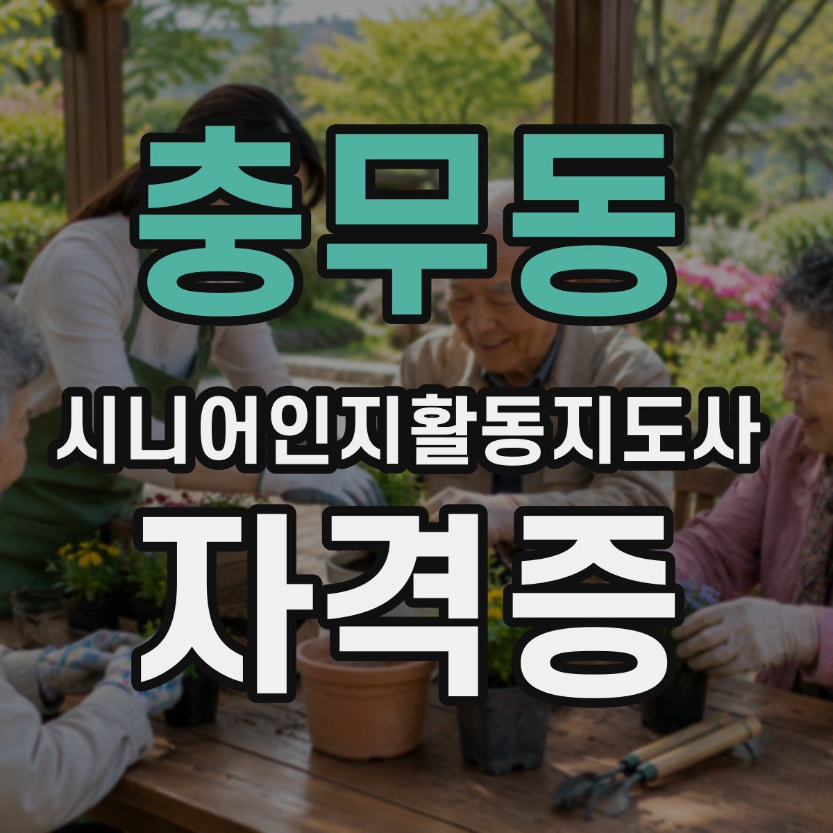 충무동 시니어인지활동지도사 자격증