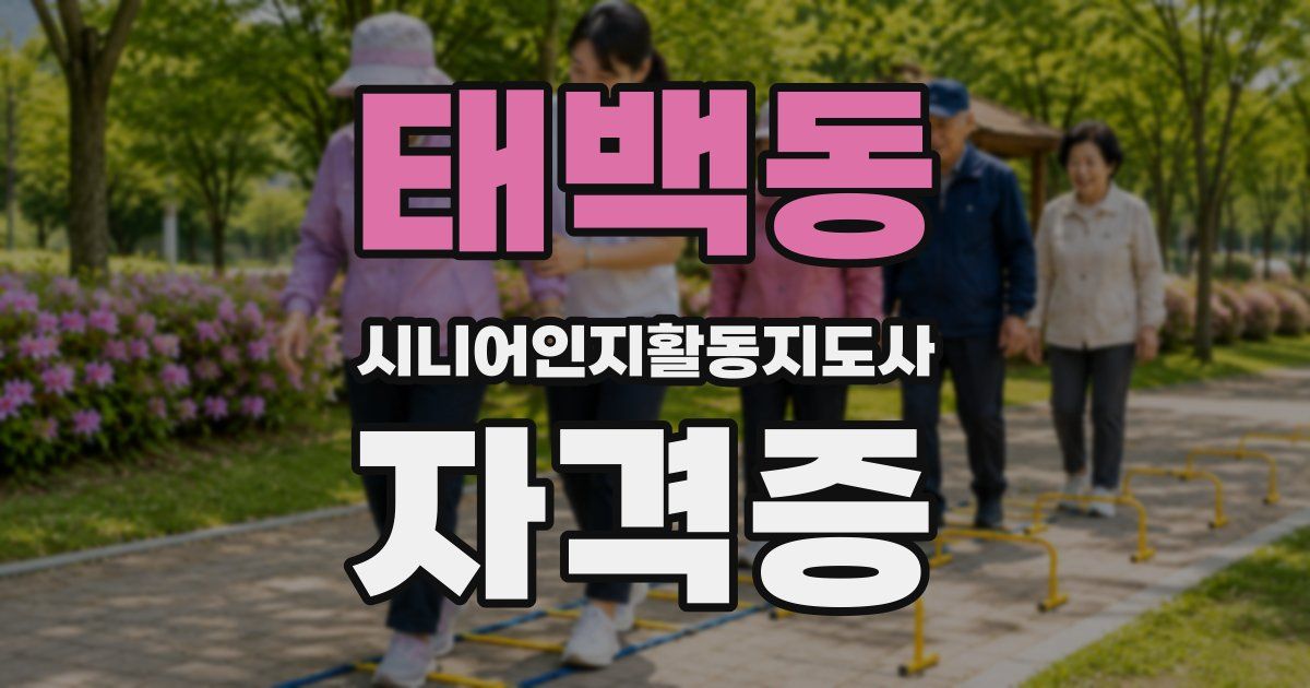태백동 시니어인지활동지도사 자격증