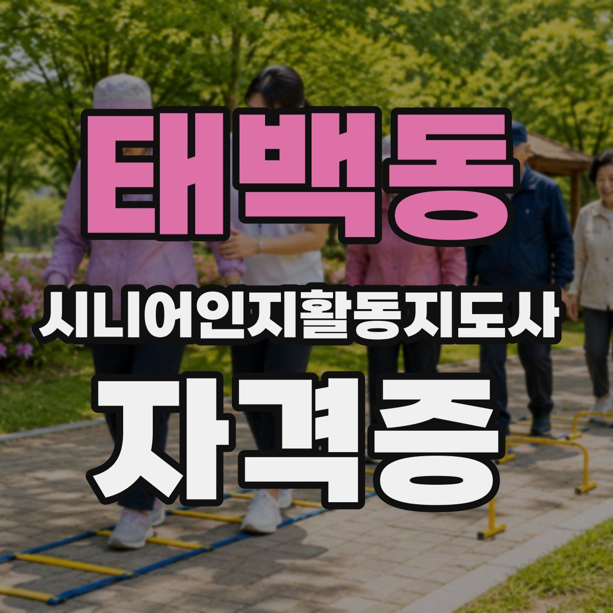태백동 시니어인지활동지도사 자격증