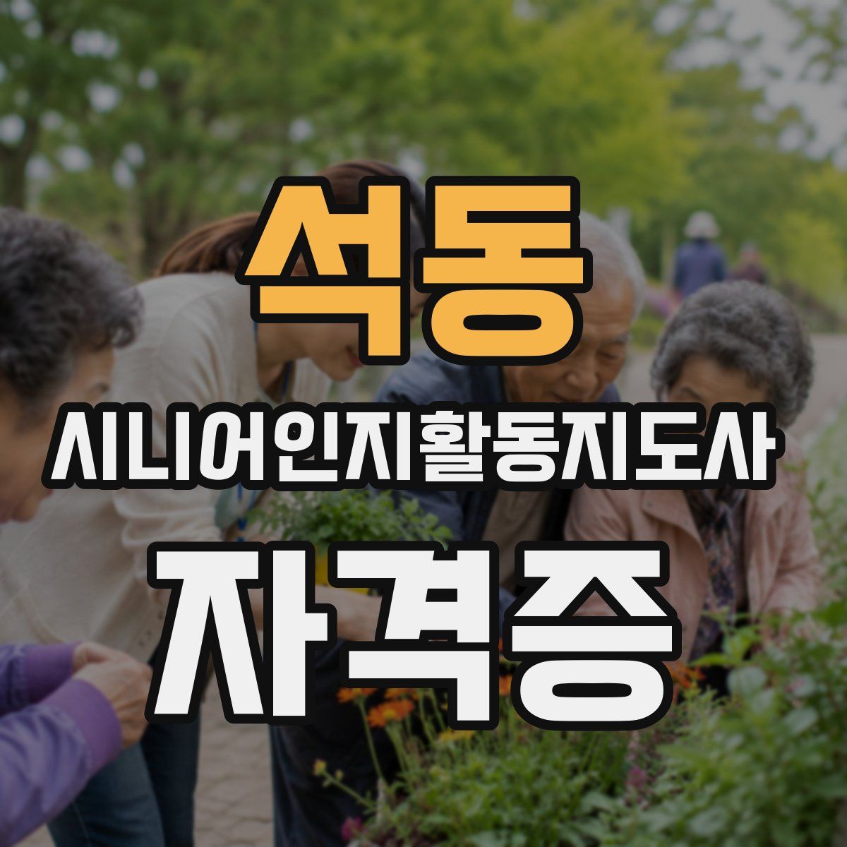 석동 시니어인지활동지도사 자격증