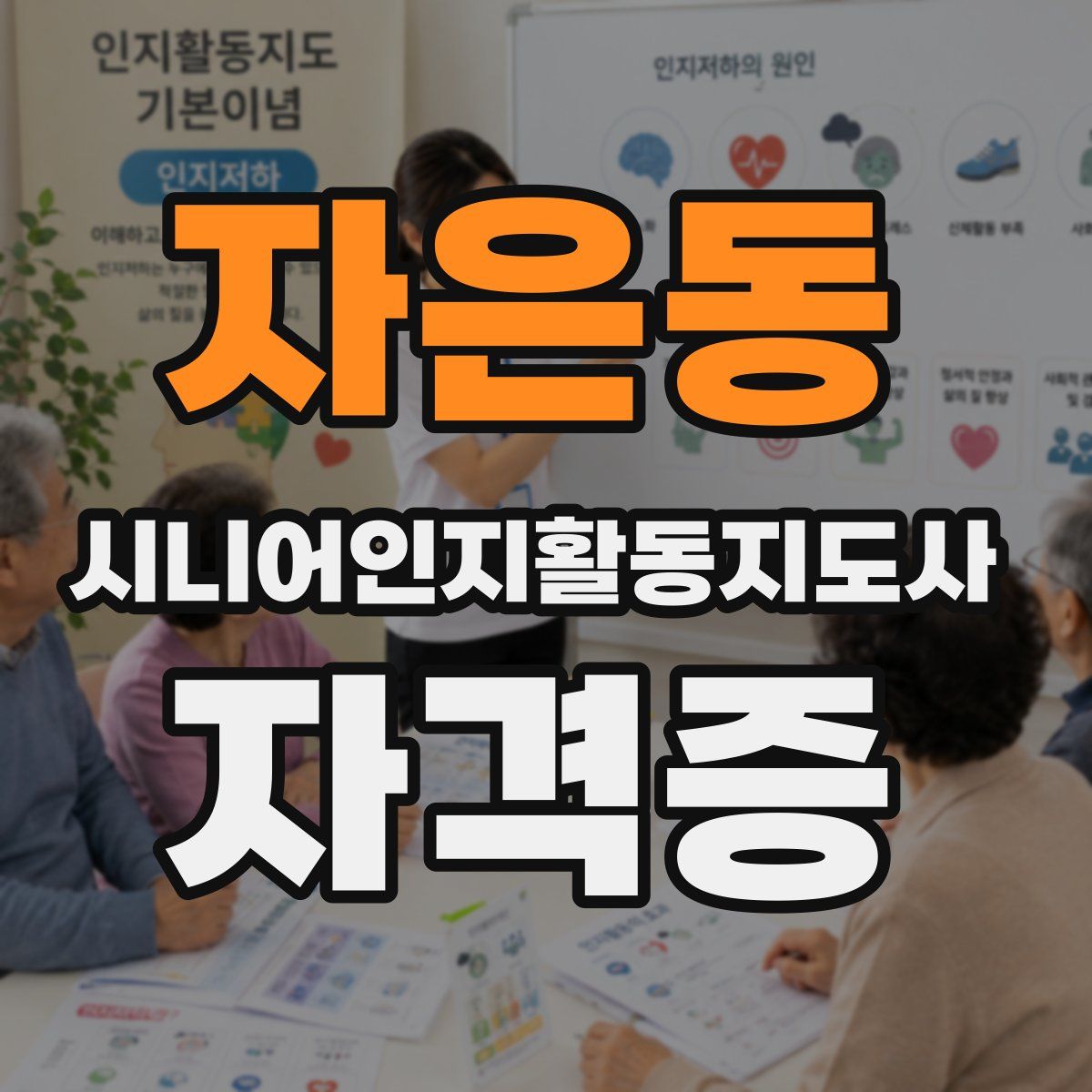 자은동 시니어인지활동지도사 자격증