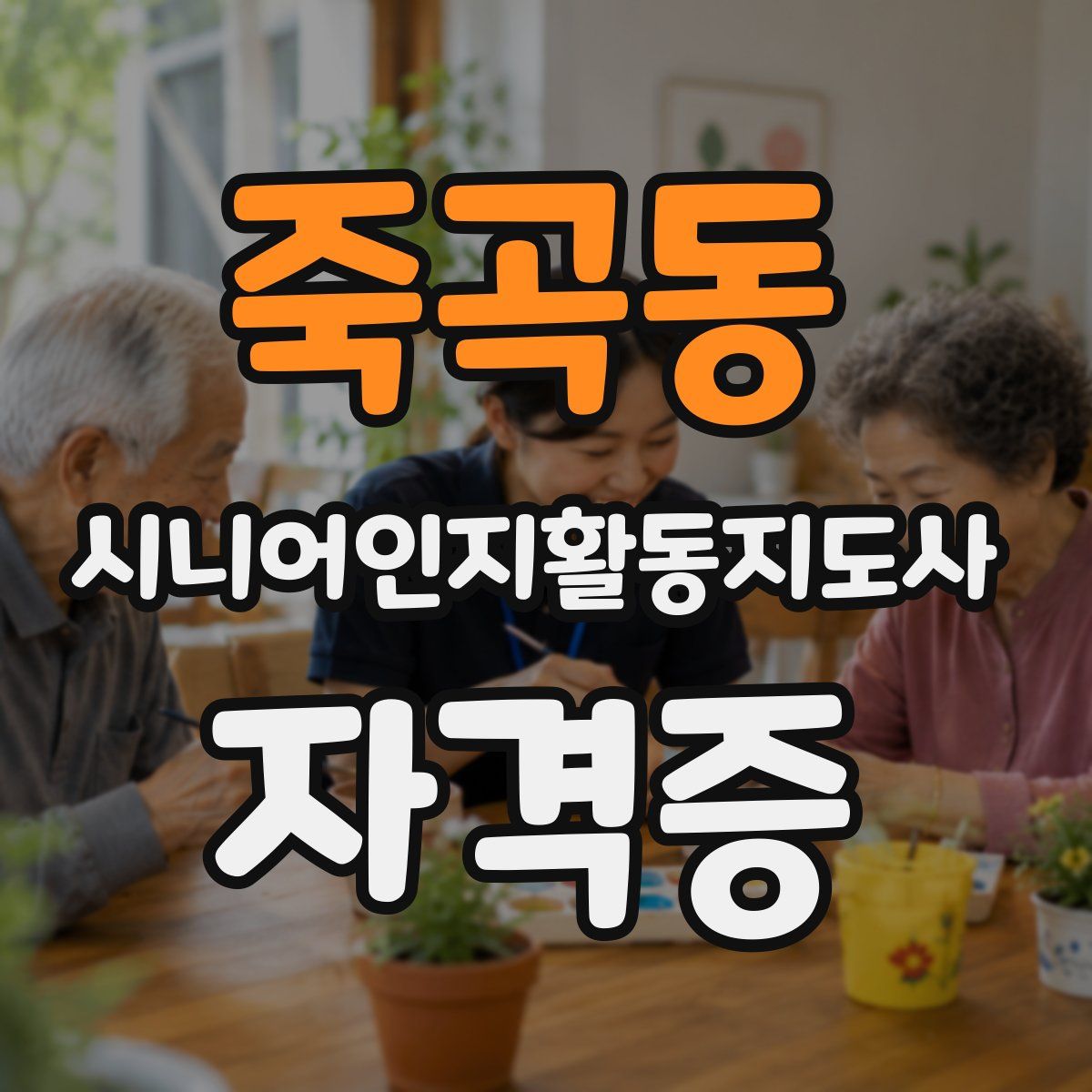 죽곡동 시니어인지활동지도사 자격증