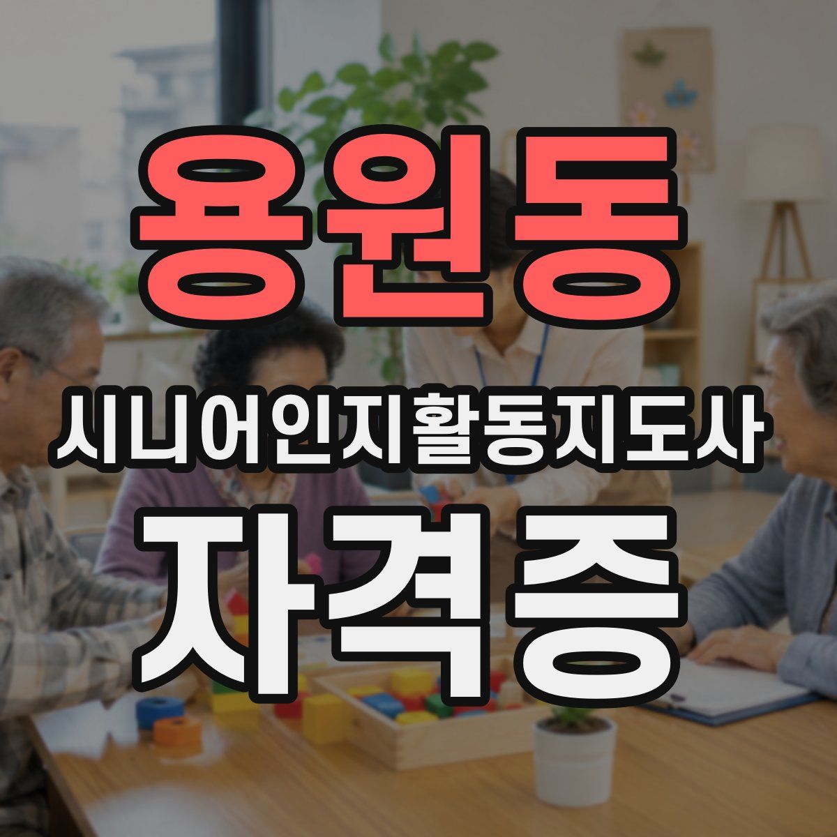 용원동 시니어인지활동지도사 자격증