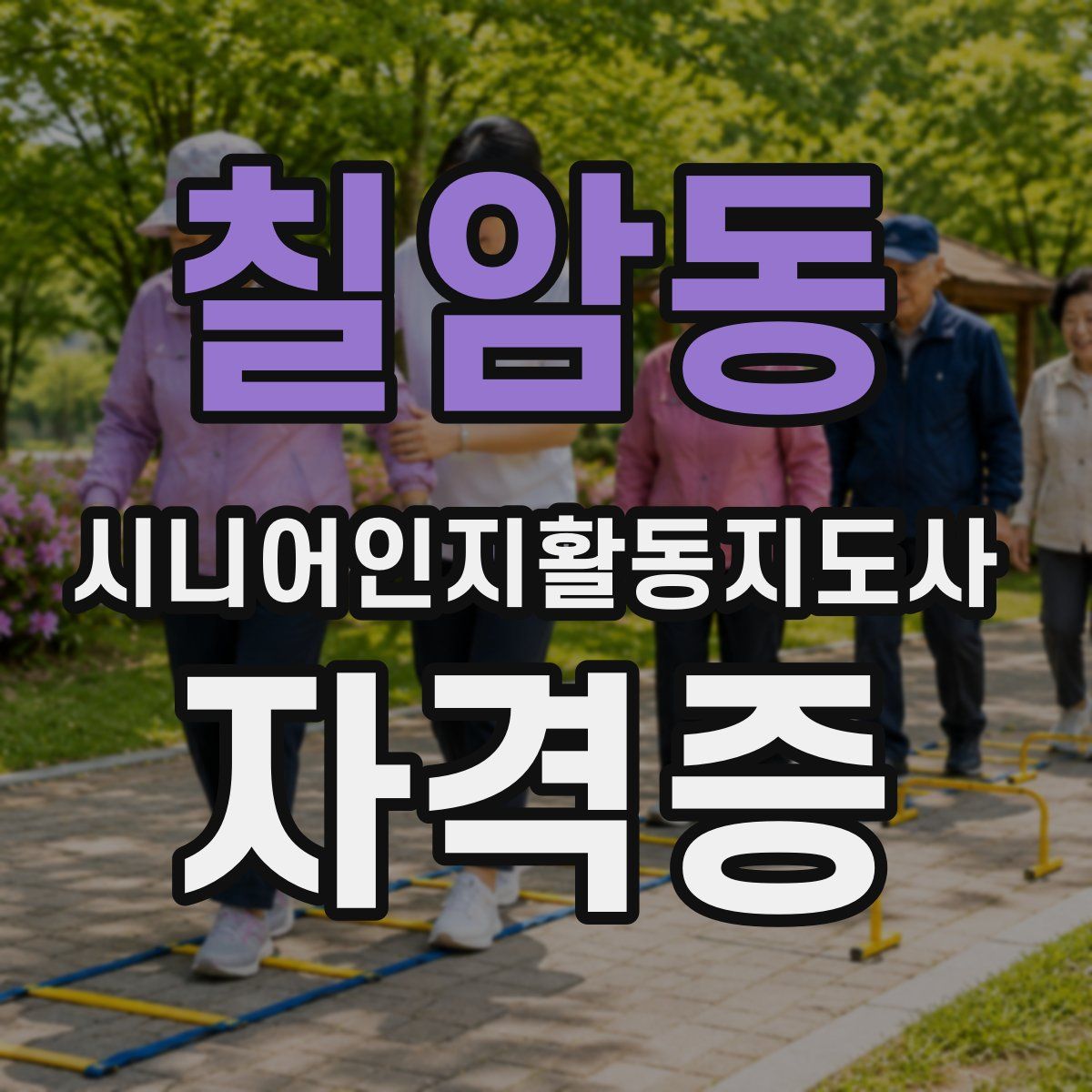 칠암동 시니어인지활동지도사 자격증