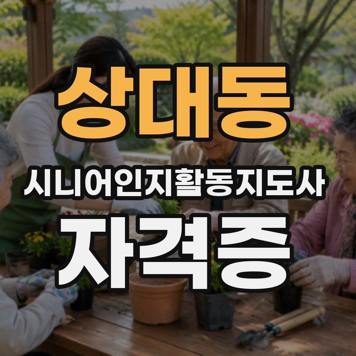 상대동 시니어인지활동지도사 자격증
