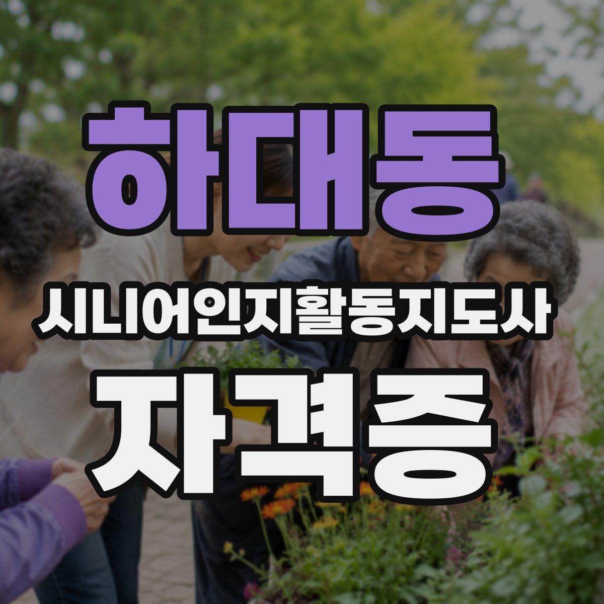 하대동 시니어인지활동지도사 자격증