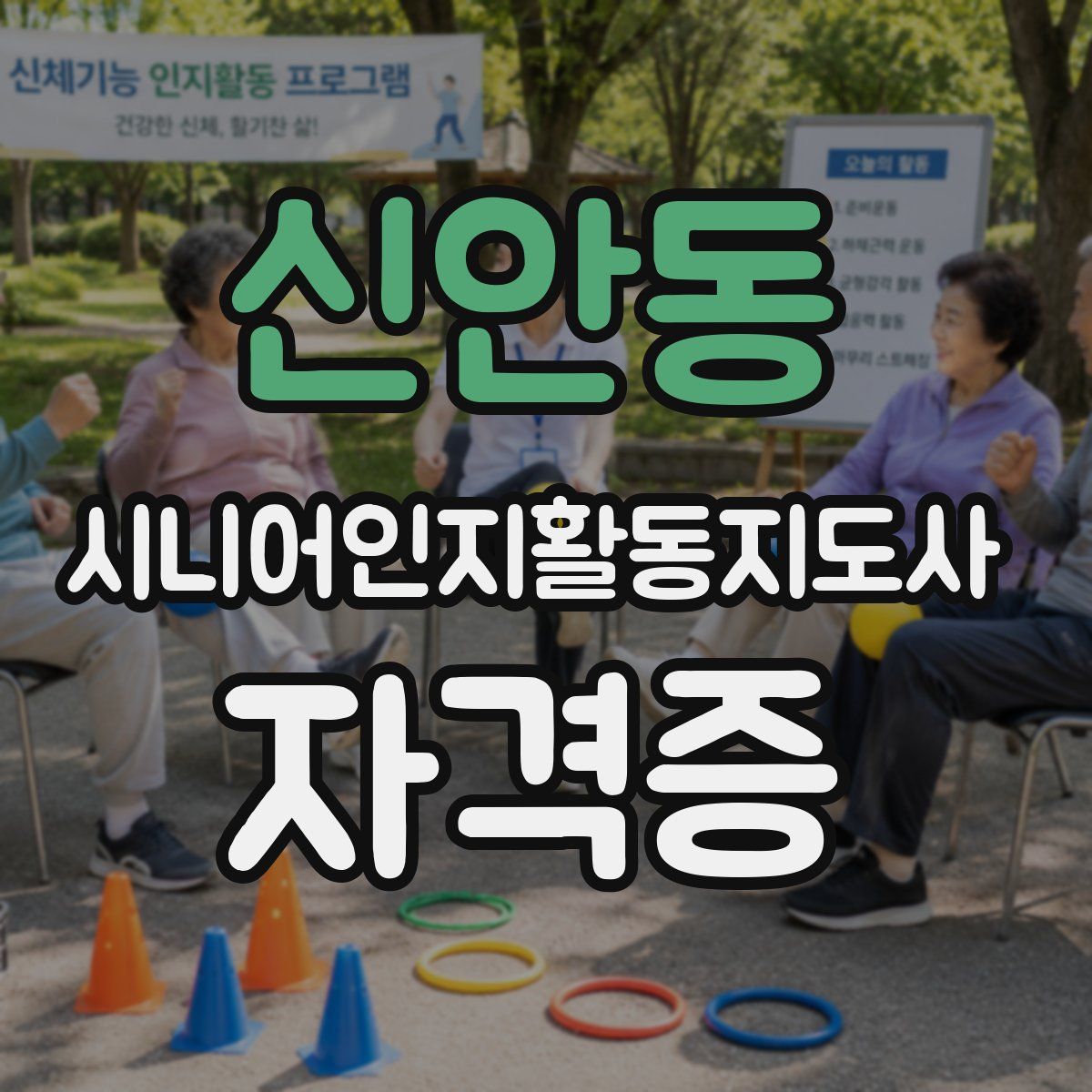 신안동 시니어인지활동지도사 자격증