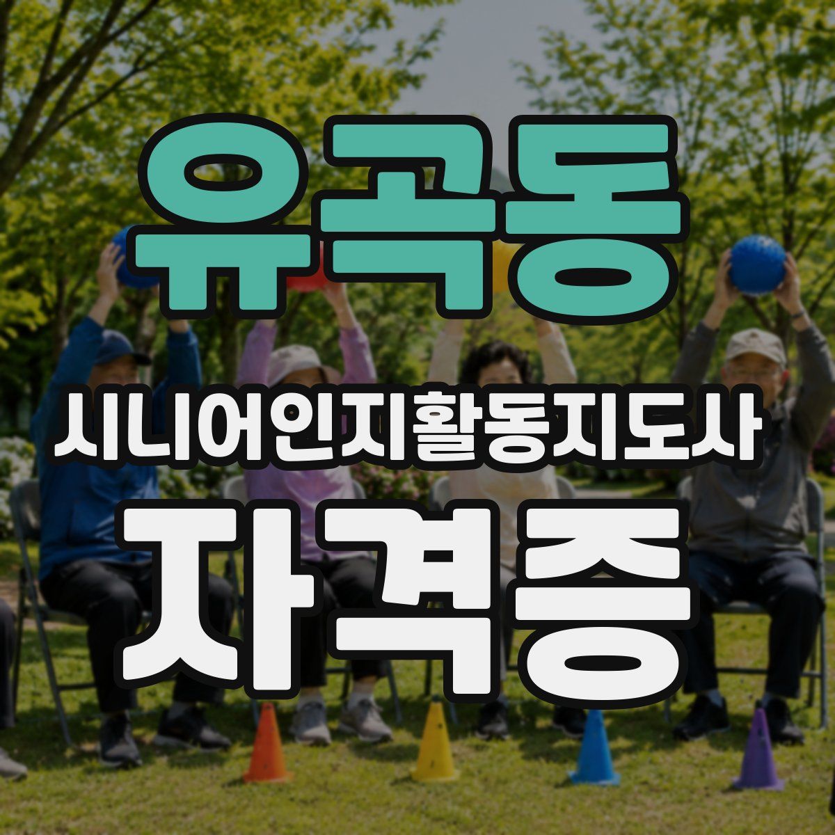 유곡동 시니어인지활동지도사 자격증