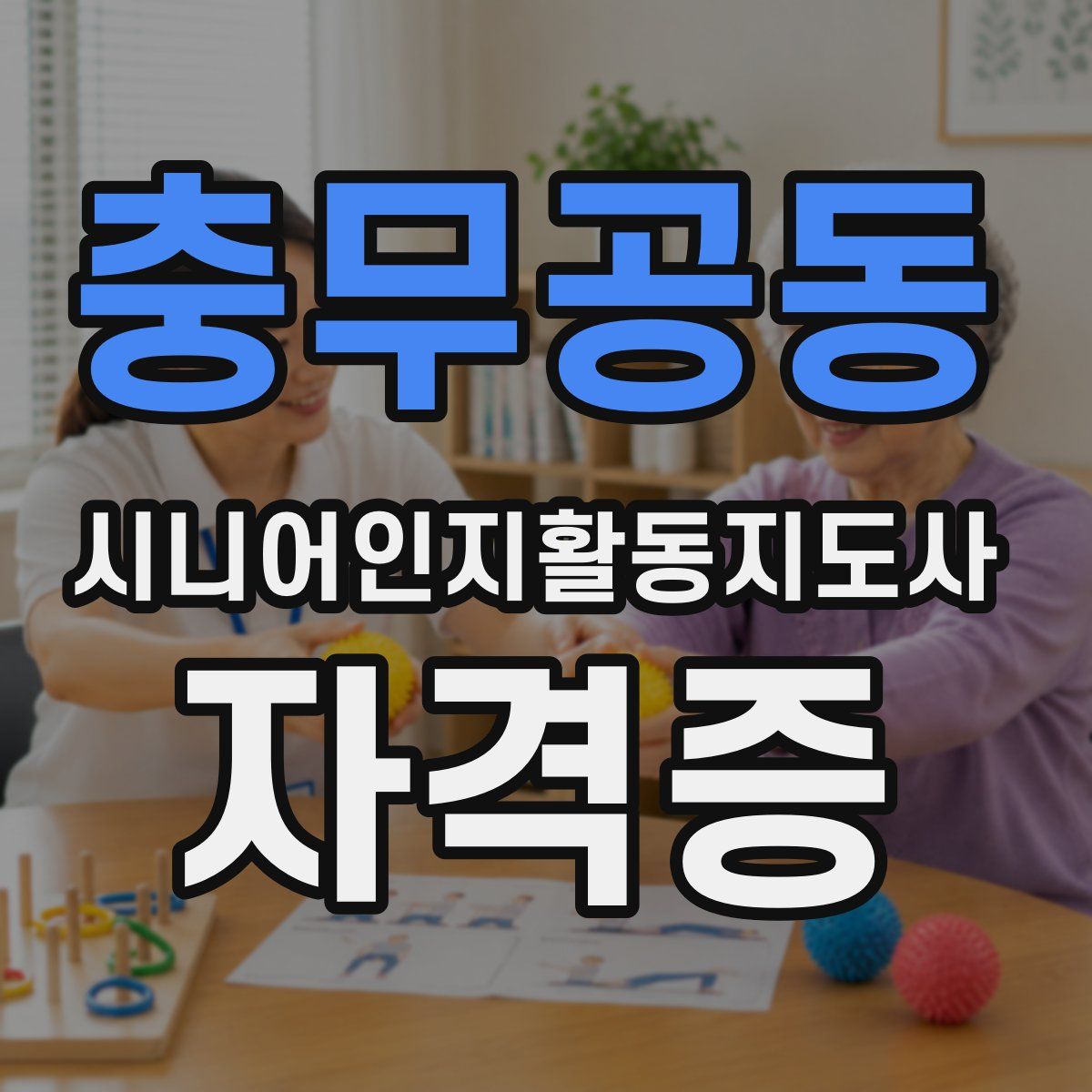 충무공동 시니어인지활동지도사 자격증