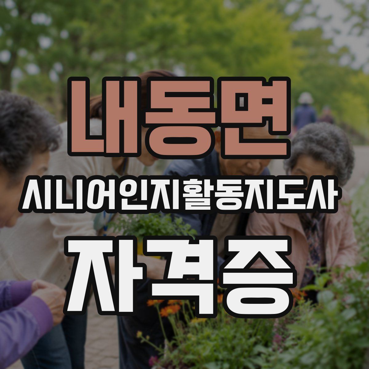 내동면 시니어인지활동지도사 자격증