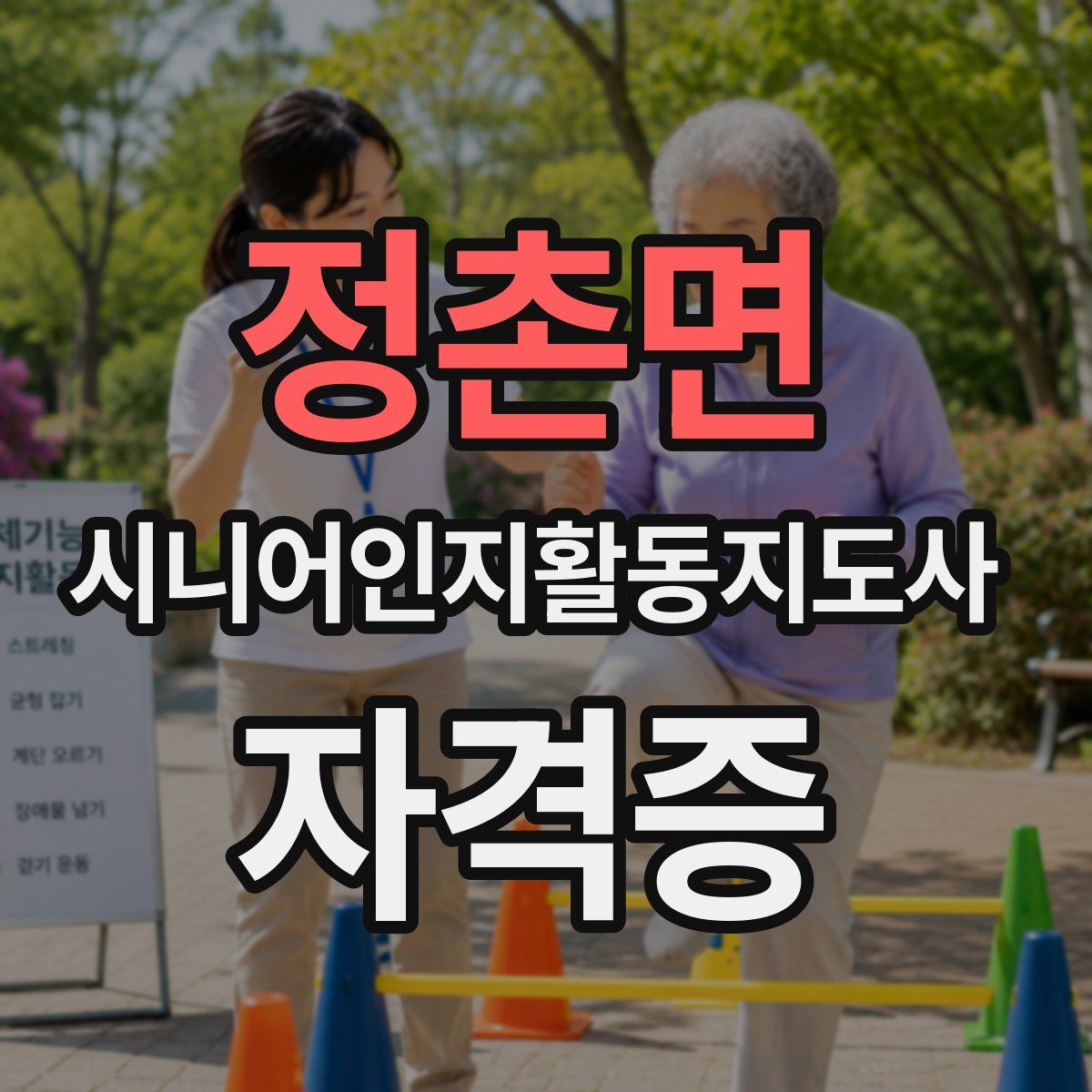 정촌면 시니어인지활동지도사 자격증
