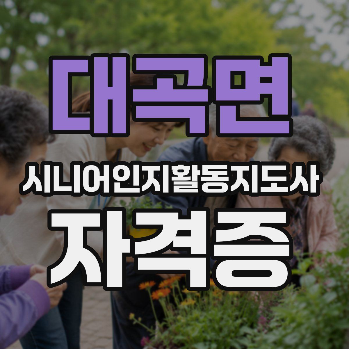 대곡면 시니어인지활동지도사 자격증