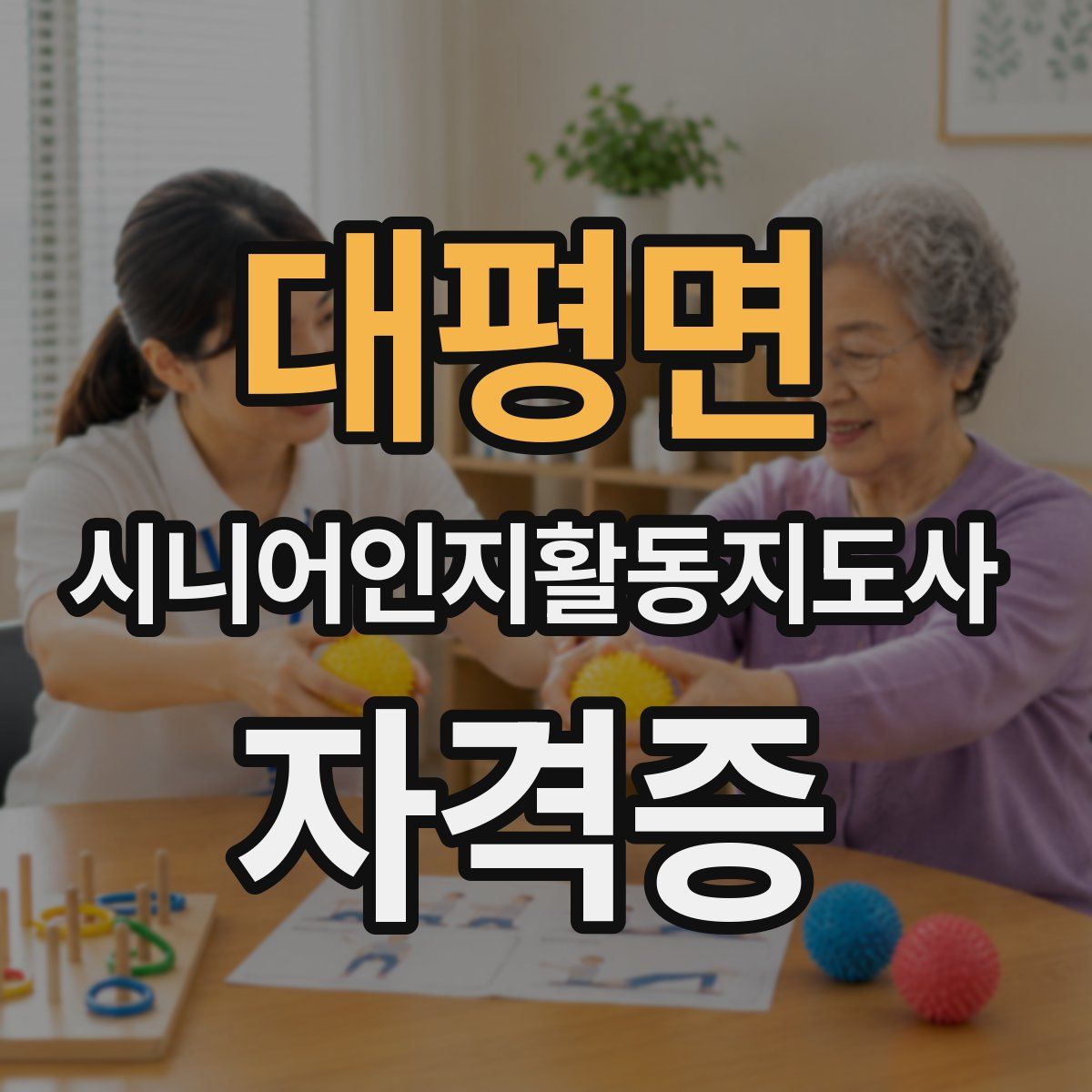 대평면 시니어인지활동지도사 자격증