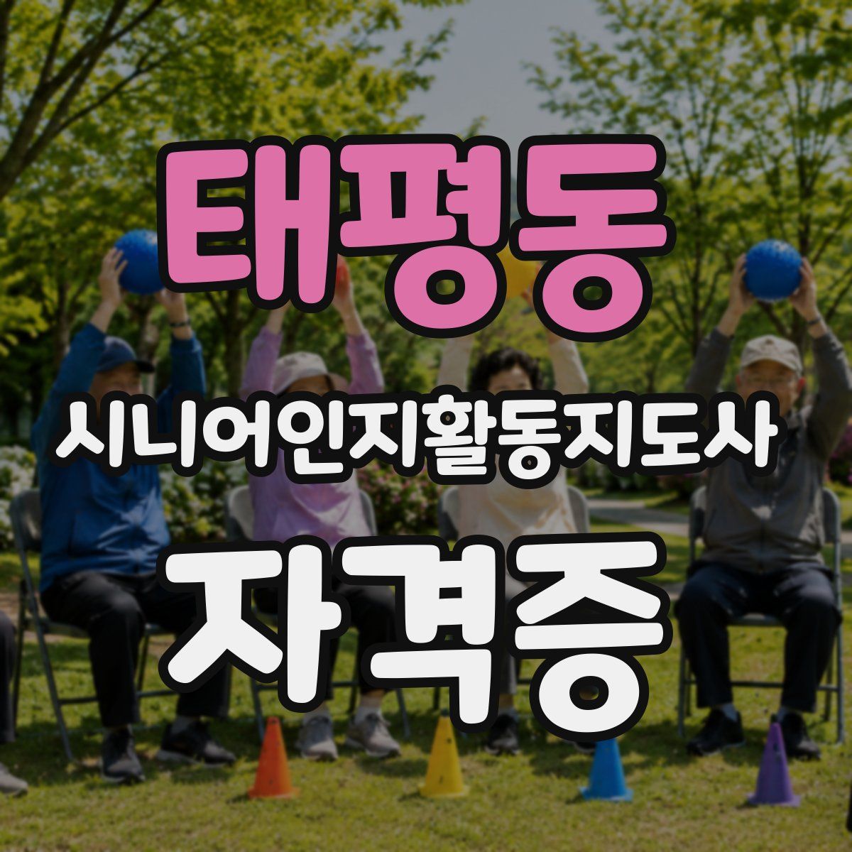 태평동 시니어인지활동지도사 자격증