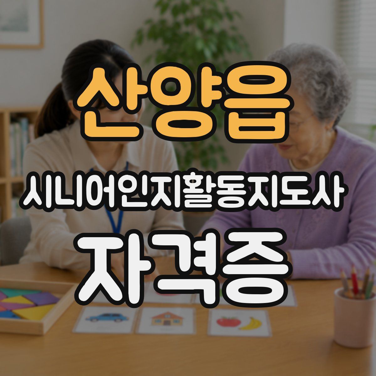 산양읍 시니어인지활동지도사 자격증