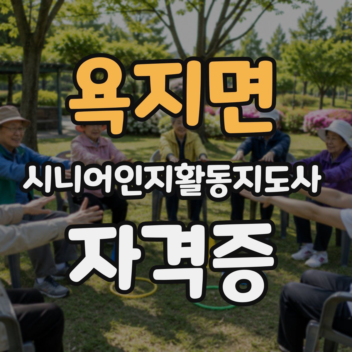 욕지면 시니어인지활동지도사 자격증