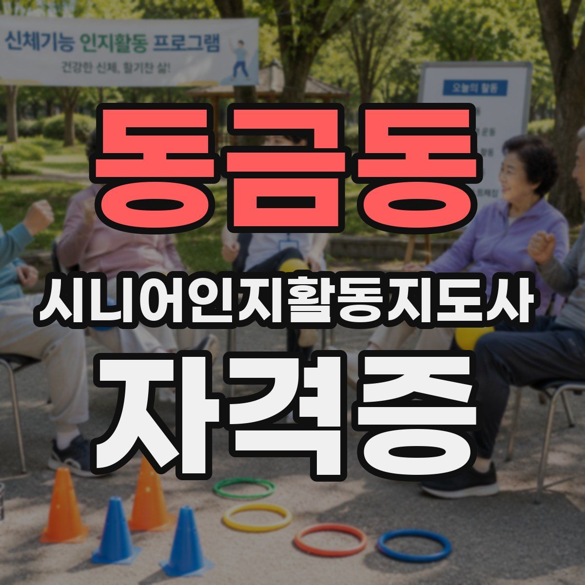 동금동 시니어인지활동지도사 자격증