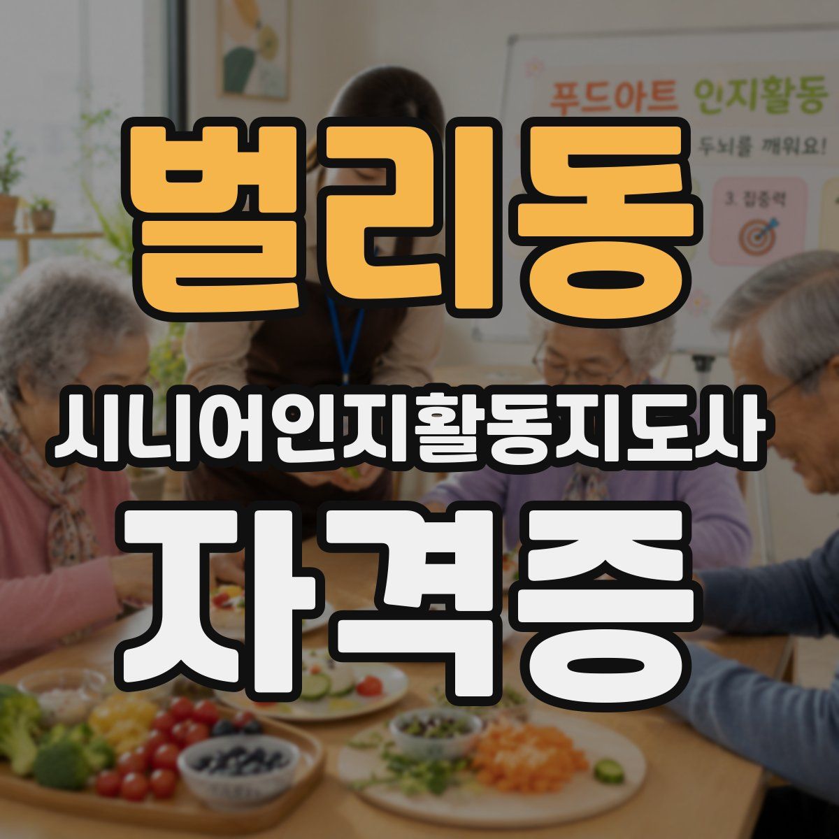 벌리동 시니어인지활동지도사 자격증