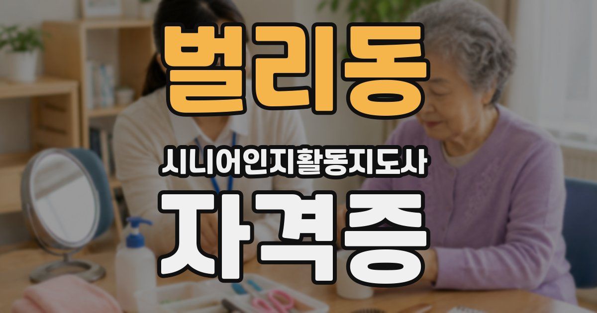 벌리동 시니어인지활동지도사 자격증