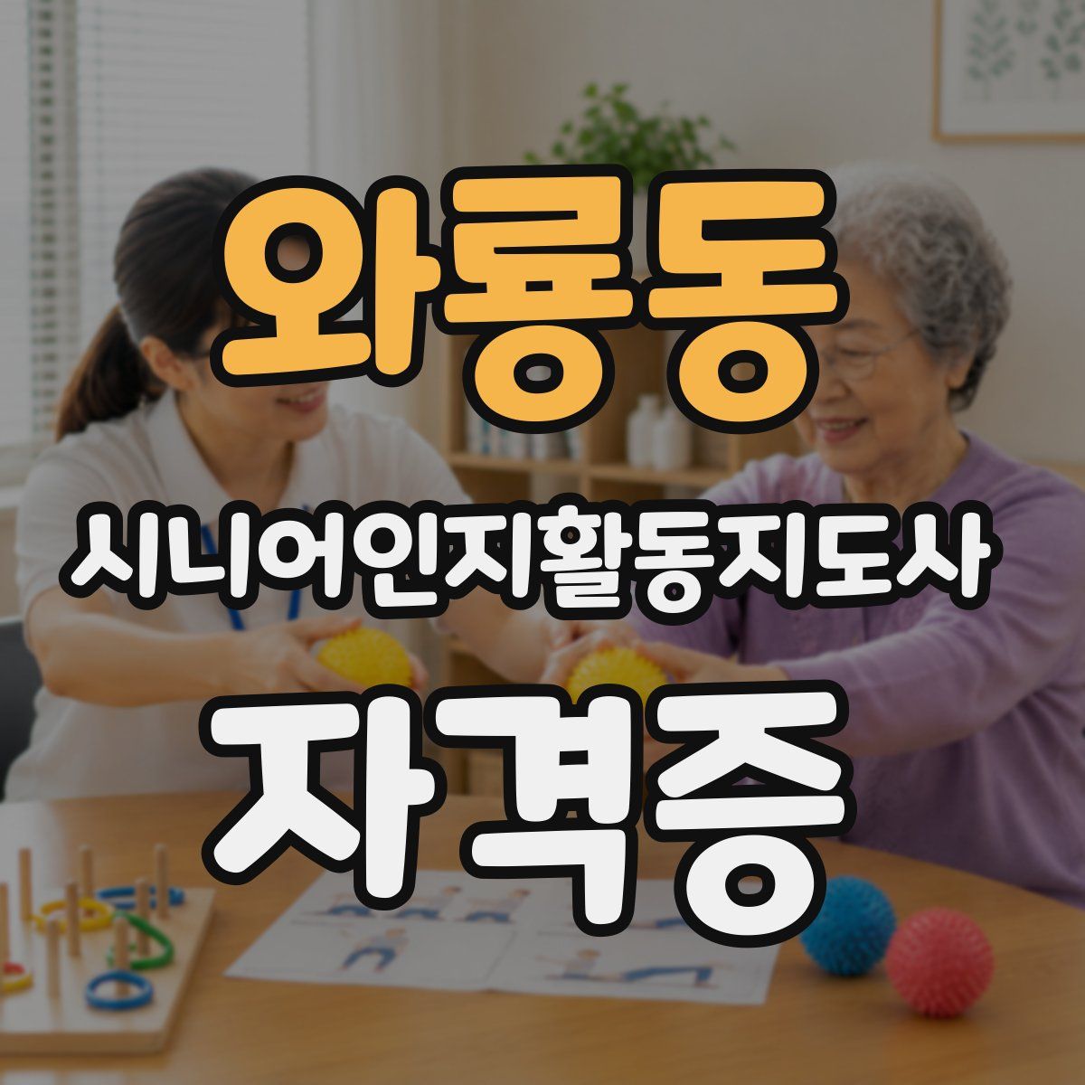 와룡동 시니어인지활동지도사 자격증
