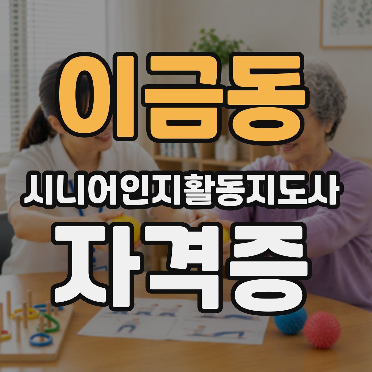 이금동 시니어인지활동지도사 자격증