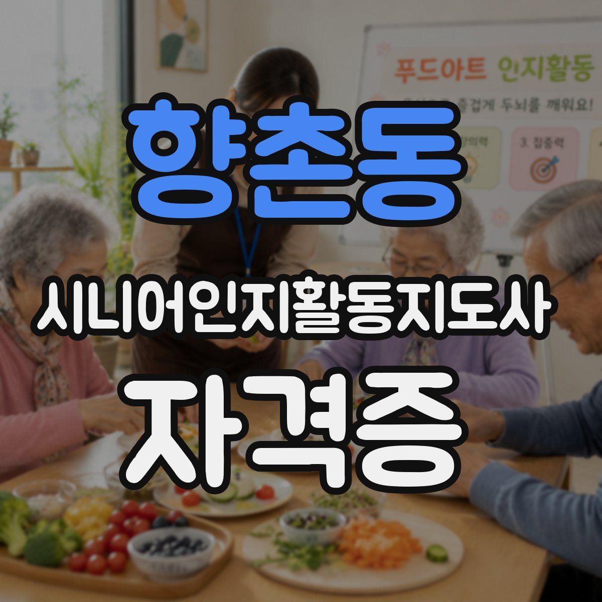 향촌동 시니어인지활동지도사 자격증