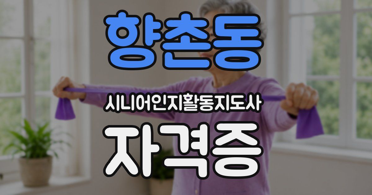 향촌동 시니어인지활동지도사 자격증