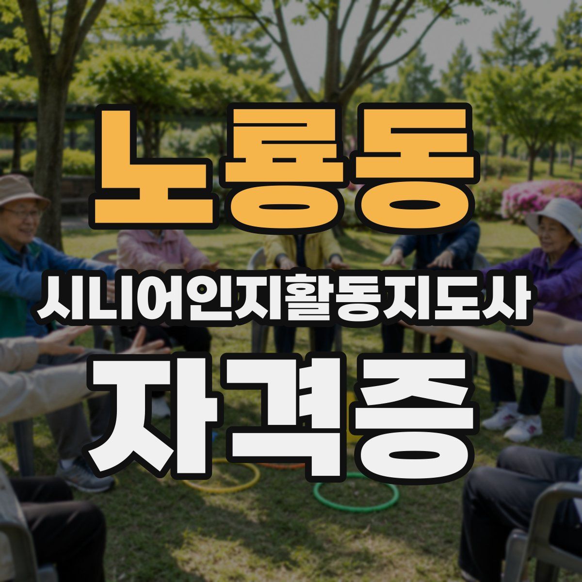 노룡동 시니어인지활동지도사 자격증