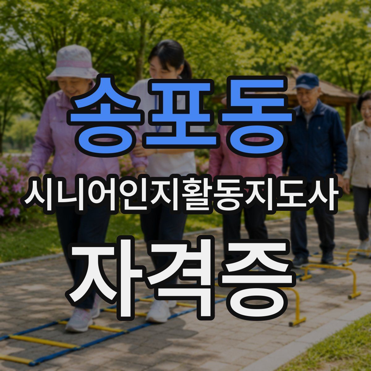 송포동 시니어인지활동지도사 자격증