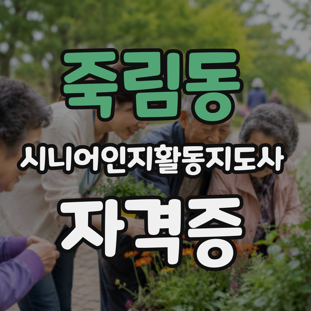 죽림동 시니어인지활동지도사 자격증