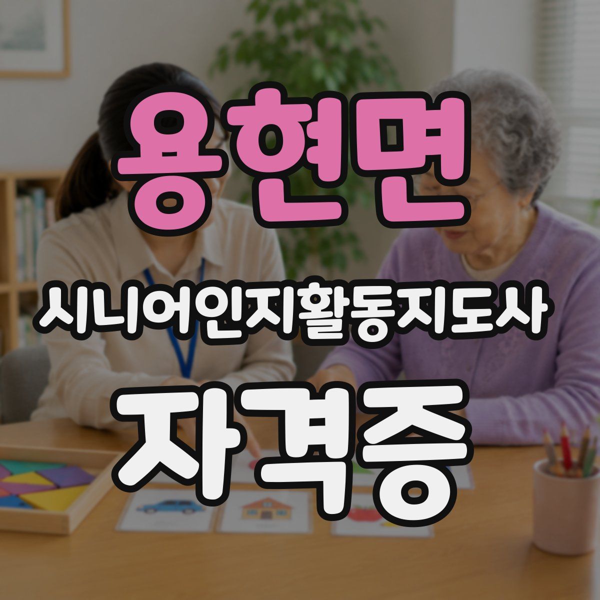 용현면 시니어인지활동지도사 자격증