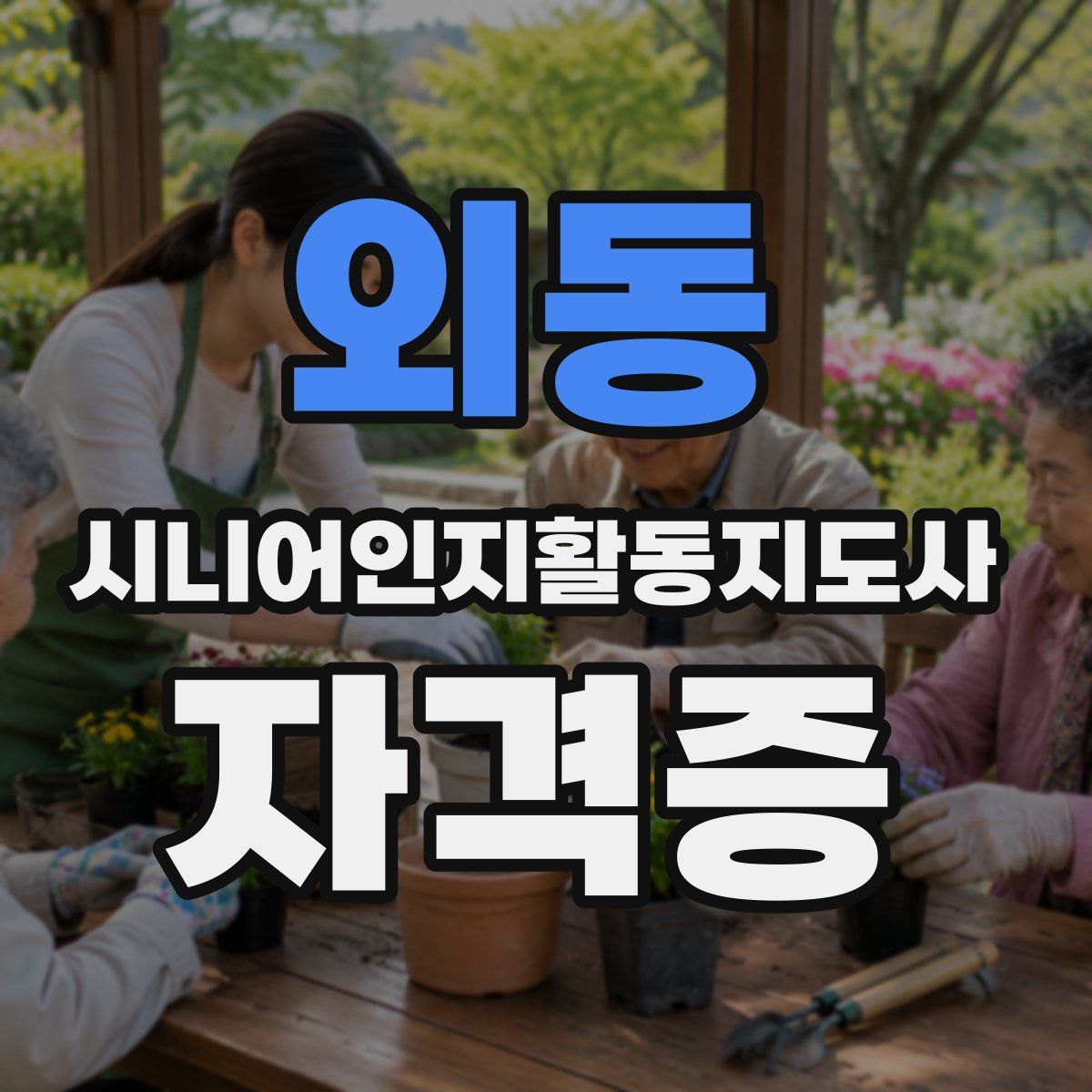 외동 시니어인지활동지도사 자격증